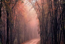 崔永熙NBA季前赛首秀 出场8分钟贡献1分2篮板.