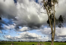 开云体育官网：[NBA]里夫斯上篮不进 詹姆斯跟进打成并加罚.